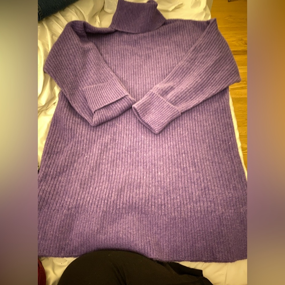 NWT oversized turtle neck sweater. Size medium. Los Angeles atelier brand-